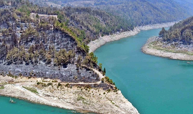 153 ton tohum toprakla buluşturuldu