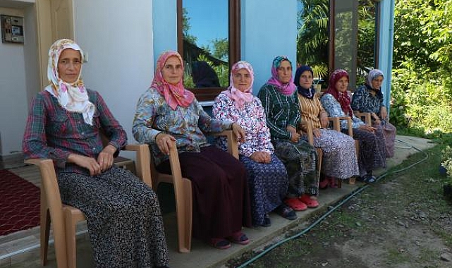 7 kız kardeş, bahçelerinde çiçek yetiştirip satıyor