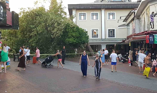 Alanya&#039;da asırlık çınar gövdesinden kırılıp yola devrildi