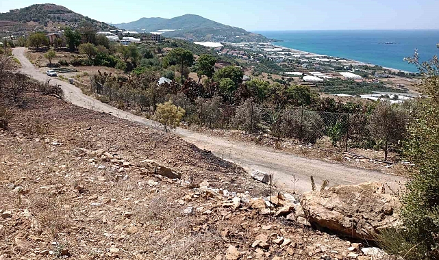 Alanya'da avokado bahçesinde çıkan yangında 9 dönüm alan zarar gördü