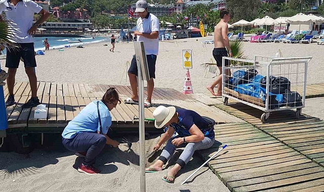 Alanya'da yuvadan çıkamayan caretta carettalar için seferberlik