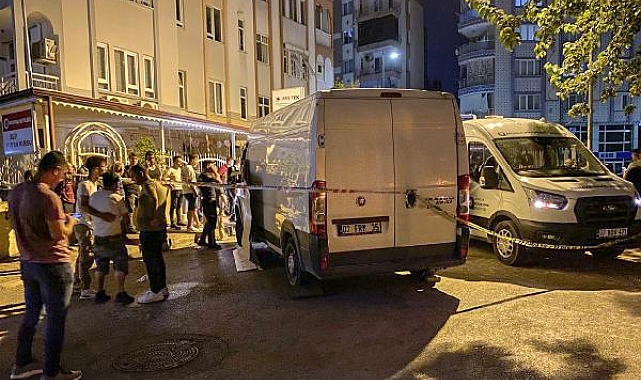 Annesini ziyaret sonrası minibüsün altında kalan kadın öldü