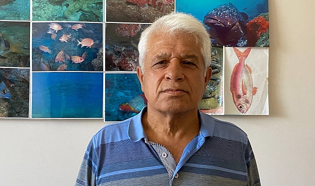 Antalya açıklarında ölü yunus bulundu