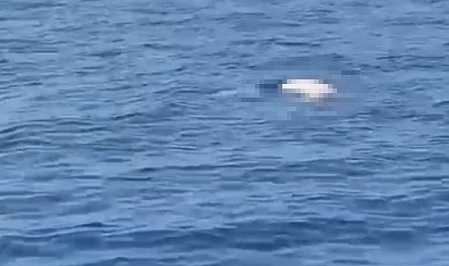 Antalya'da deniz üzerinde erkek cesedi bulundu