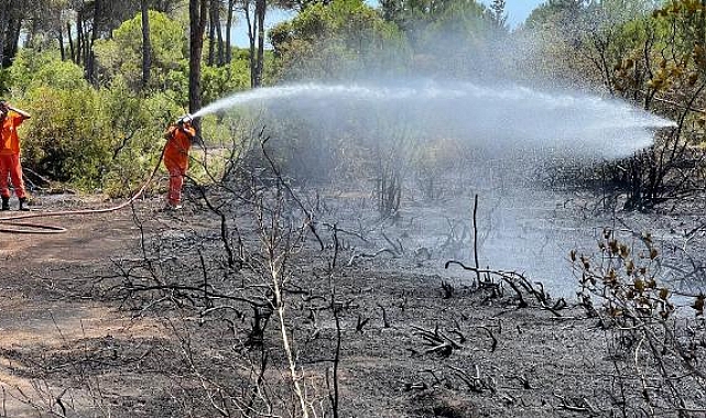 Antalya'da orman yangını, yarım saatte söndürüldü