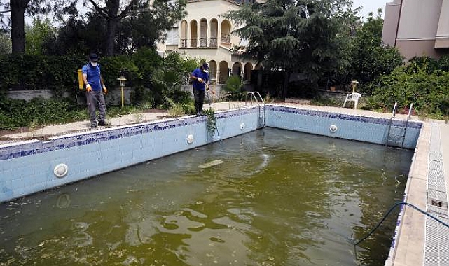 Antalya'da sivrisineksiz günlere son 1 hafta !