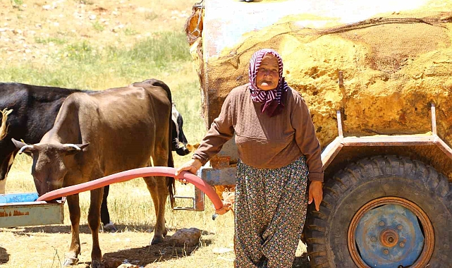 Antalya'nın "Çoban Haritası" çıkartılıyor
