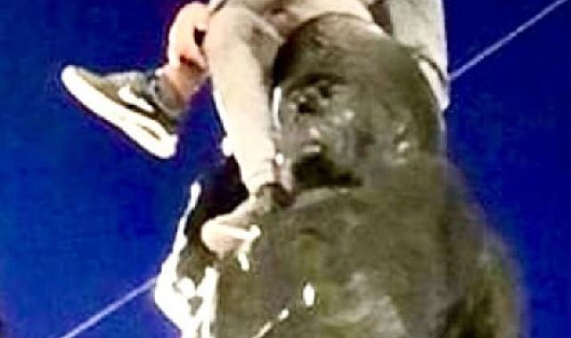 Atatürk büstüne çıkıp, ayak ayak üstüne atarak poz veren Suriyeli çocuk, tepkiye neden oldu