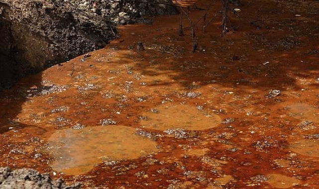 Atıklar derenin rengini değiştirdi; OSB'ye ceza, 3 fabrikaya kapama
