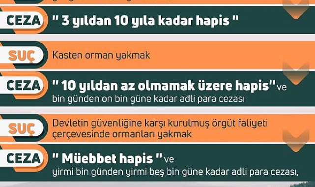 Bakan Yumaklı: Son 10 günde 203 orman yangını çıktı