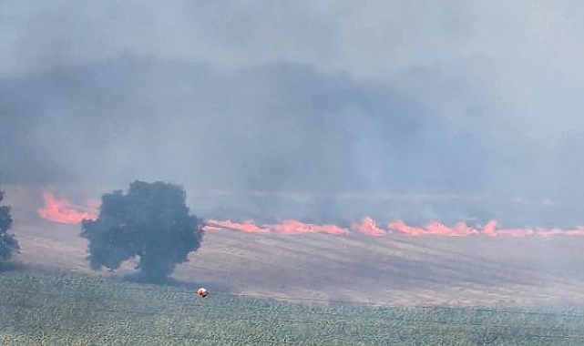 Bursa'da, buğday tarlasında çıkan yangın ormana ilerliyor