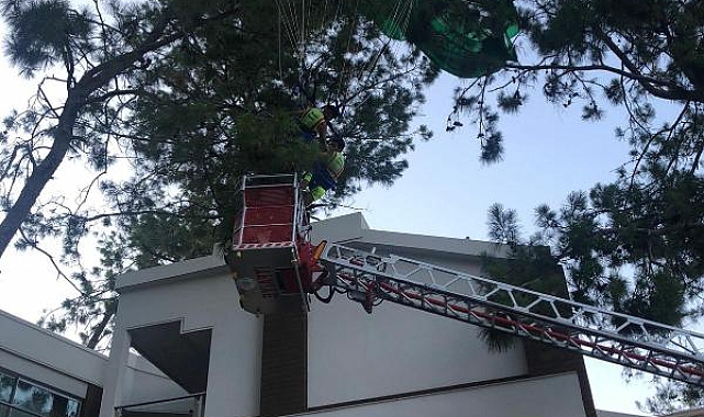 Deniz paraşütünün ipi kopunca otel bahçesindeki ağaca düştüler