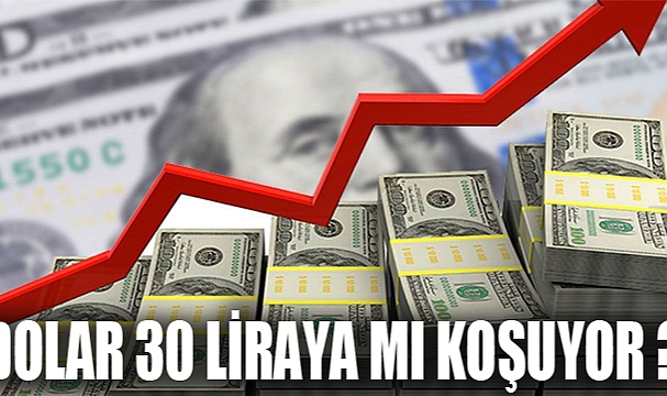 Dolar 30 liraya mı koşuyor ?