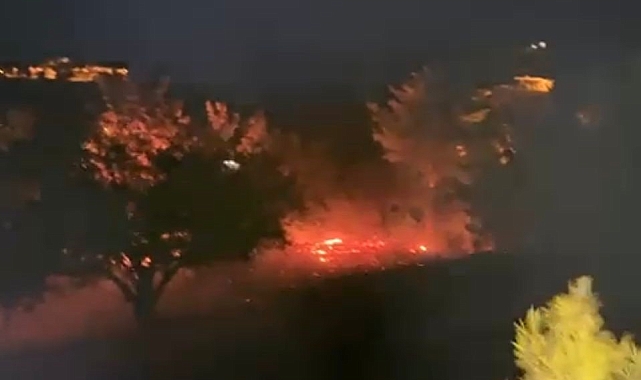 Gazipaşa&#039;da yangın paniği