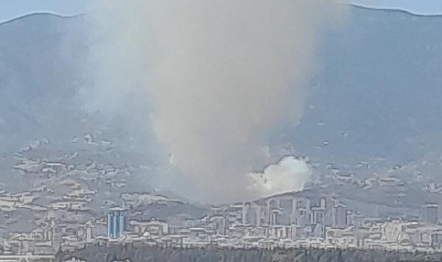 Hatay'da orman yangını