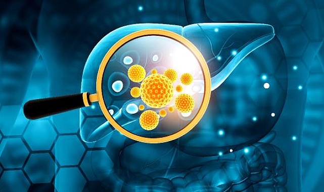  "Hepatitte aşılama, kronik enfeksiyonları önlemede yüzde 95 etkili"