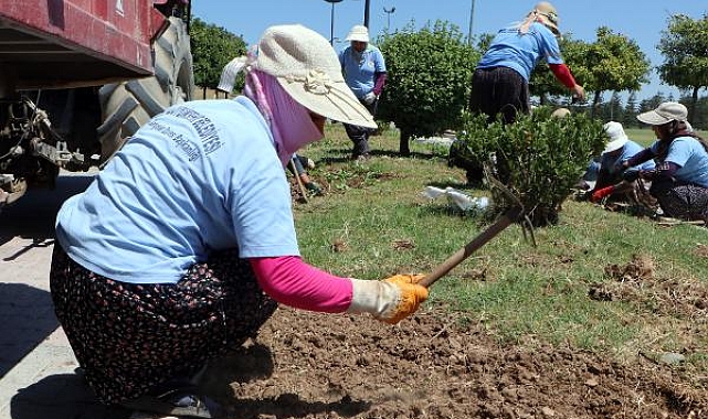 Kadın peyzaj işçilerinin 50 derece sıcaklıkta zorlu mesaisi