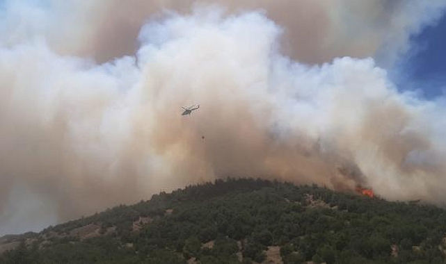 Kahramanmaraş'ta orman yangını