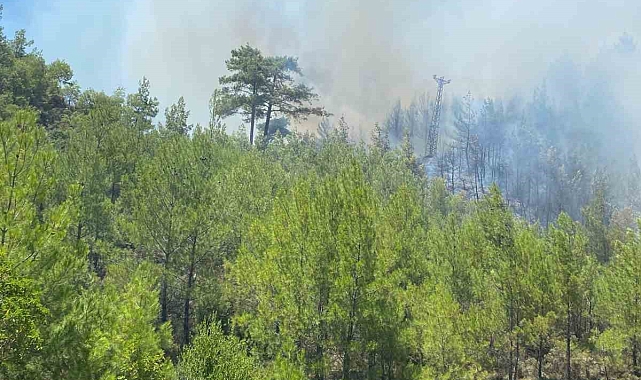 Kaş'taki orman yangını havadan ve karadan müdahaleyle kontrol altına alındı
