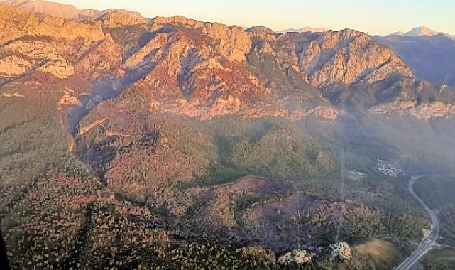 Kemer'de yangının acı bilançosu ortaya çıktı !