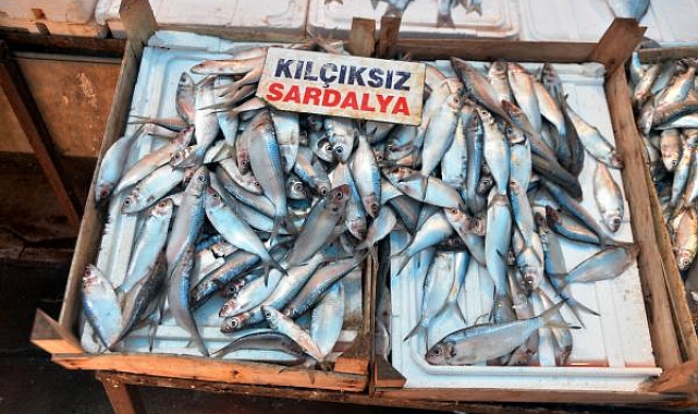 'Kızıldeniz'den gelen tropikal balıklar, Akdeniz'in damak tadını değiştirdi'