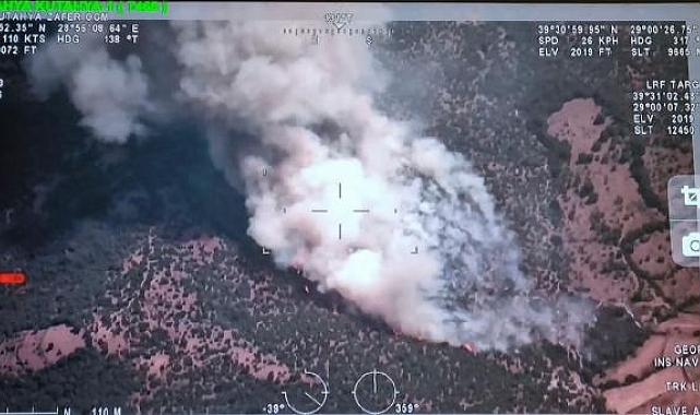 Kütahya'da orman yangını