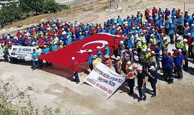 Maden şirketi Akbelen ormanına 130 bin fidan dikecek