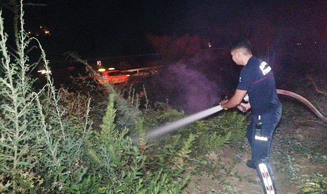 Manavgat'ta ot çalı yangını korkuttu
