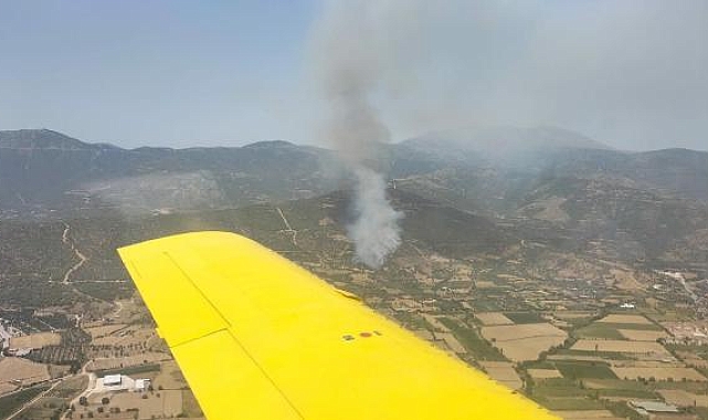 Ödemiş'te orman yangını