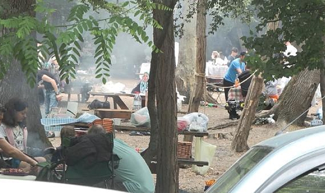 Orman Bölge Müdürü Pir: Yasaklar yangınları yüzde 70 azalttı 