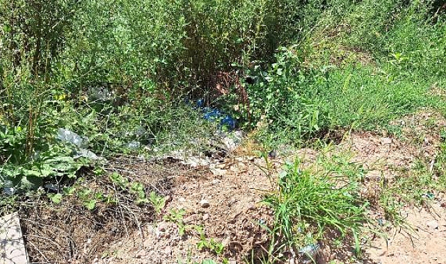 'Orman yangınlarına inisiyatifinizle müdahale etmeyin'