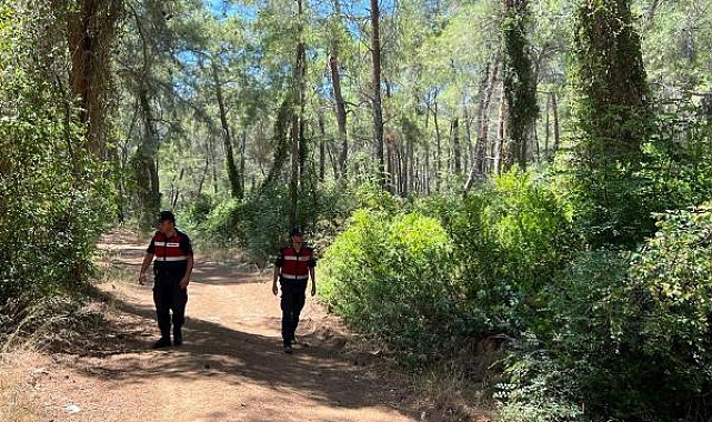 Orman yangınlarına karşı devriye görevi