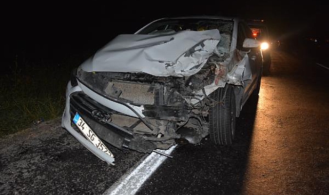 Otomobilin çarptığı büyükbaş öldü, 4 kişi yaralı