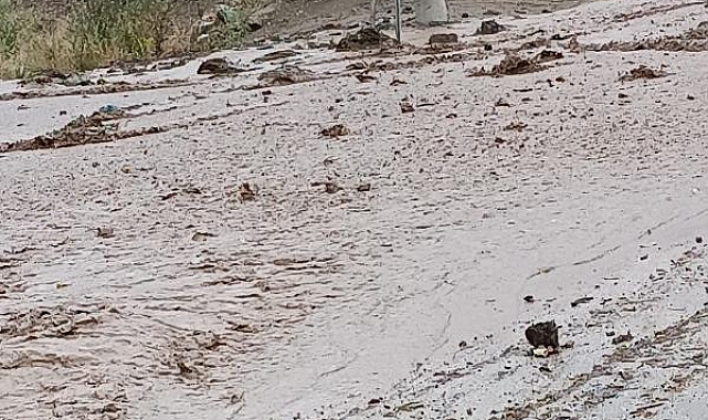 Özalp'te sağanak sele neden oldu