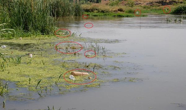 Piknikçilerin kirlettiği Dicle Nehri için uyarı