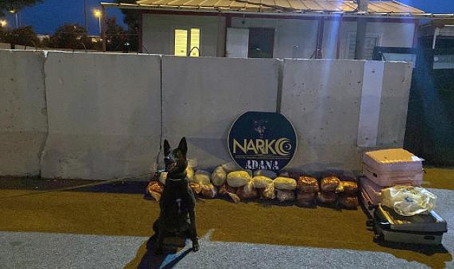 Salça sürülen paketlerdeki uyuşturucuyu 'Barbara' buldu