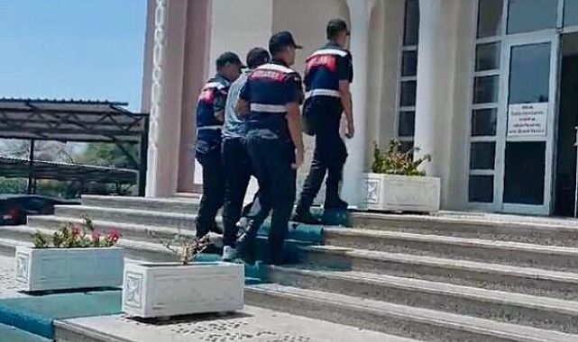 Seydikemer'de ormanı sigara izmariti yakmış, şüpheli tutuklandı