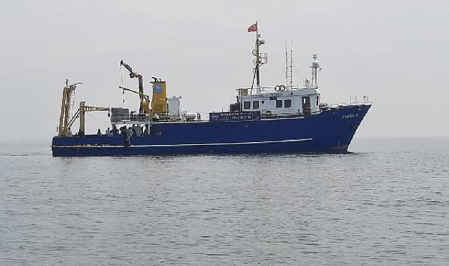 Tavşan Adası'ndaki biyoçeşitlilik değişimine yakın takip