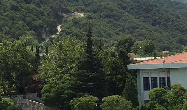 Yalova'da orman yangını