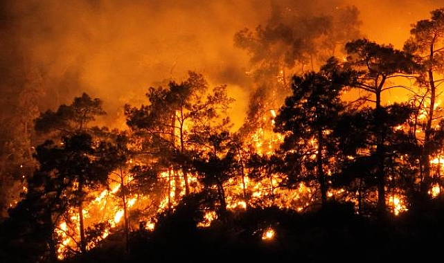 Yangında her 5 saatte Hiroşima'ya atılan atom bombasına eş değer enerji açığa çıkıyor !