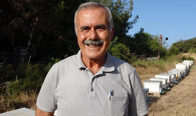 'Yüksek sıcaklıklar arı popülasyonu ve bal verimini olumsuz etkiliyor'