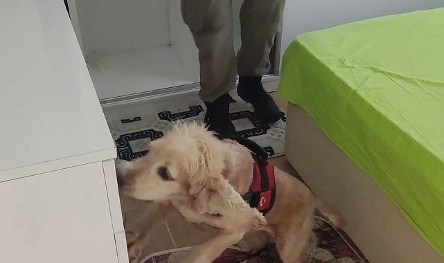 9 kilogram kokain Çaki'ye takıldı
