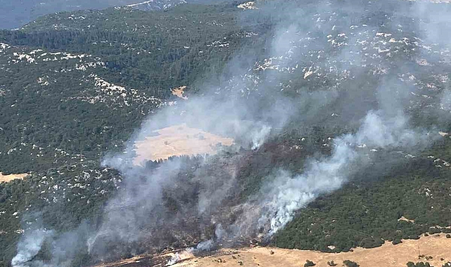 Antalya Kaş'ta orman yangını kontrol altına alındı
