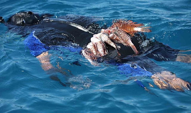 Antalya'da Aslan Balığı Avlama Yarışması düzenlendi