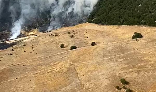 Antalya'da orman yangını