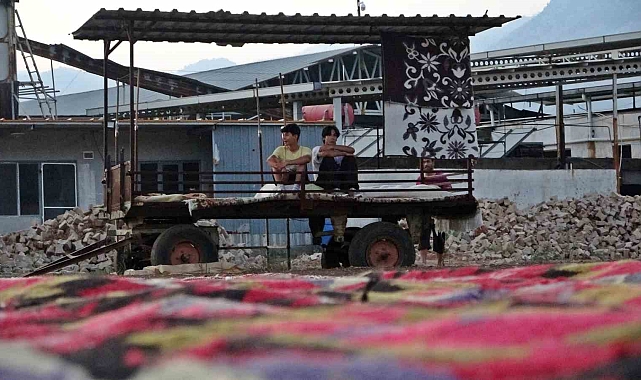 Antalya'da tarlada milyonluk halı nöbeti: Güneş batınca başlayıp, doğunca bitiriyorlar