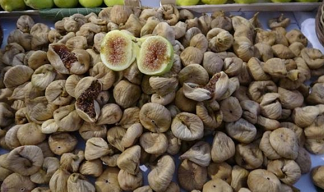 Aydın'da sezonun ilk kuru inciri, 350 TL'den alındı