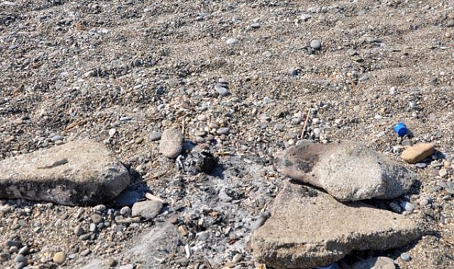 Caretta caretta yuvası üzerinde mangal yaktılar