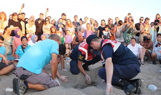 Çıralı'da caretta caretta turizmi