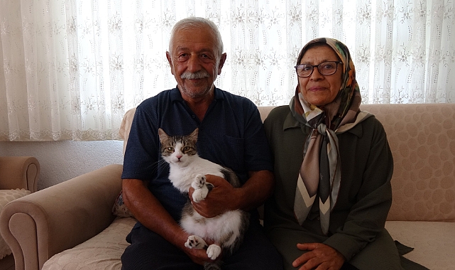 Depremde kaybettikleri kedilerini geri dönüp 5 ay sonra buldular